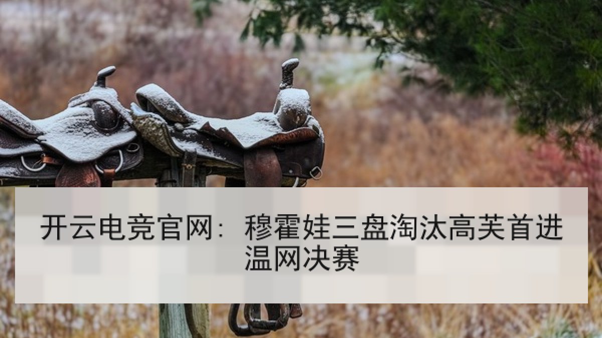 开云电竞官网: 穆霍娃三盘淘汰高芙首进温网决赛