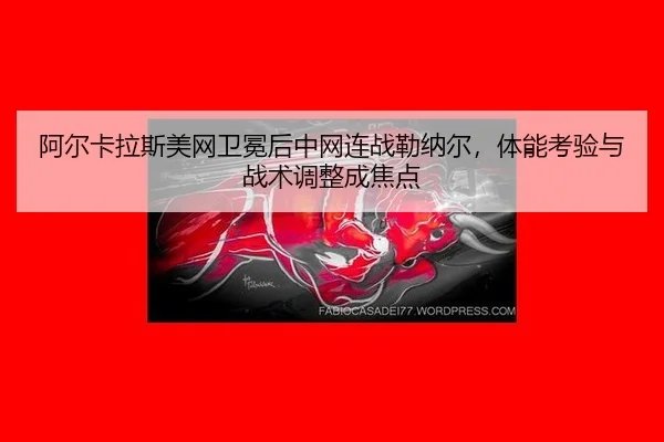 a-er-ka-la-si-mei-wang-wei-mian-hou-zhong-wang-lian-zhan-lei-na-er-ti-neng-kao-yan-yu-zhan-shu-tiao-zheng-cheng-jiao-3-325.jpg