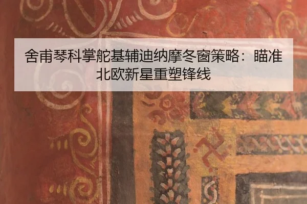 she-fu-qin-ke-zhang-duo-ji-fu-di-na-mo-dong-chuang-ce-lve-miao-zhun-bei-ou-xin-xing-zhong-su-feng-xian-3-758.jpg