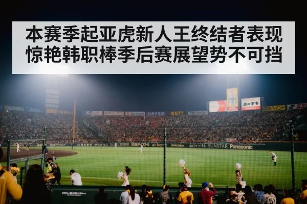 baseball stadium night game